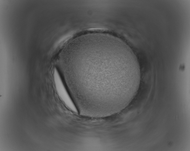 X0000092281351200709281237