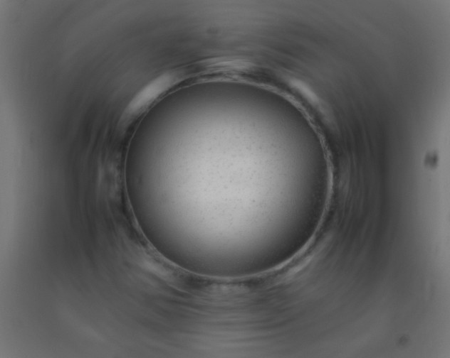 X0000092281354200709281237