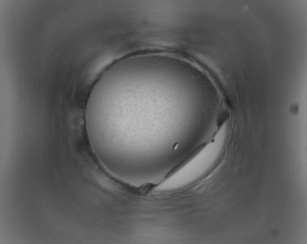 X0000092281355200709281237