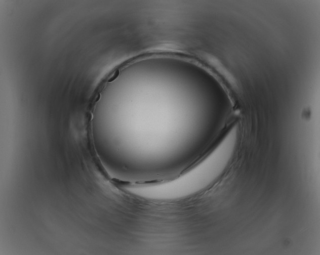 X0000092281356200709281237