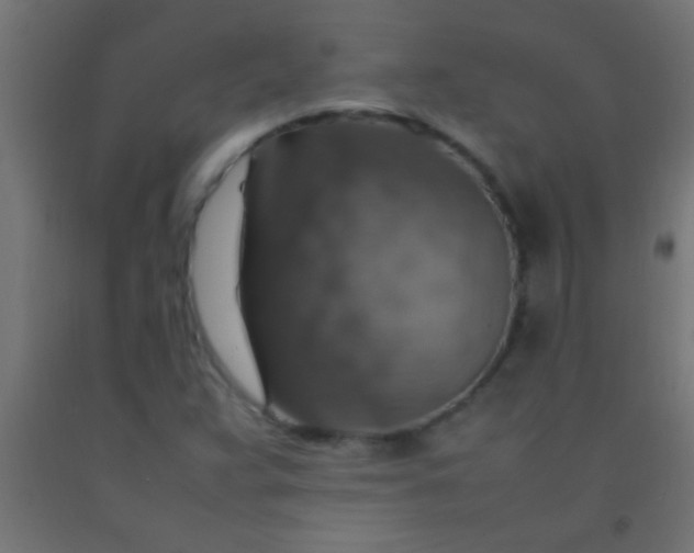 X0000092281359200709281237