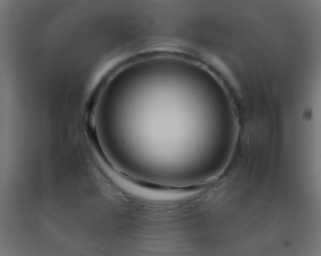 X0000092281360200709281237