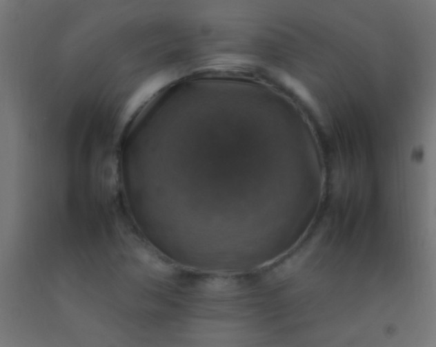 X0000092281362200709281237