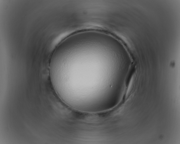 X0000092281363200709281237