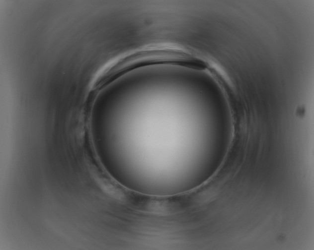 X0000092281364200709281237