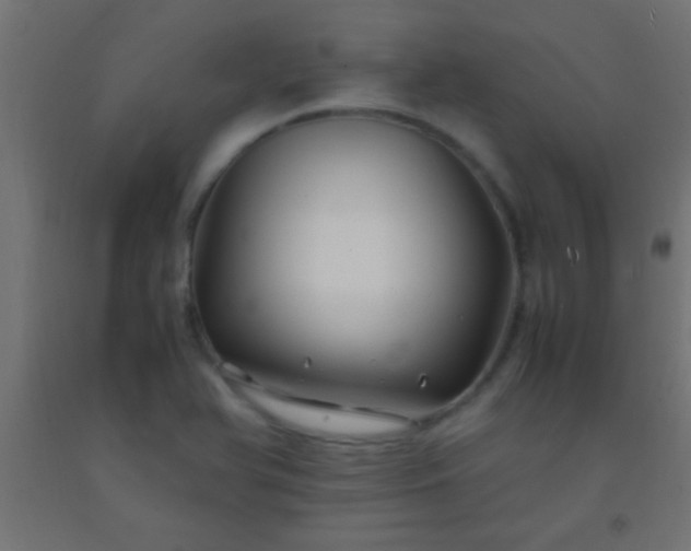 X0000092281366200709281237