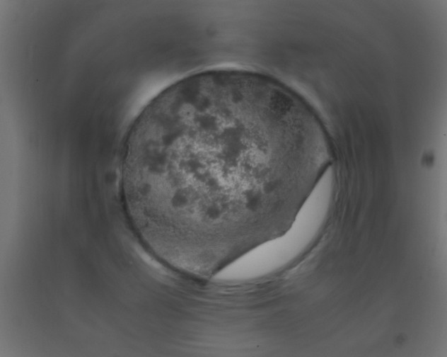 X0000092281367200709281237