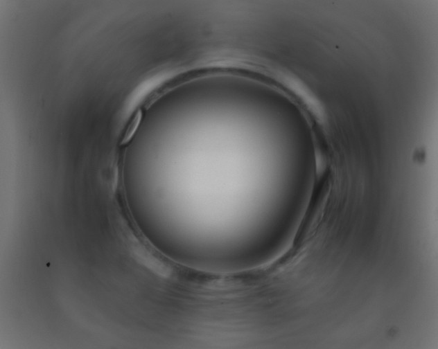 X0000092281368200709281237