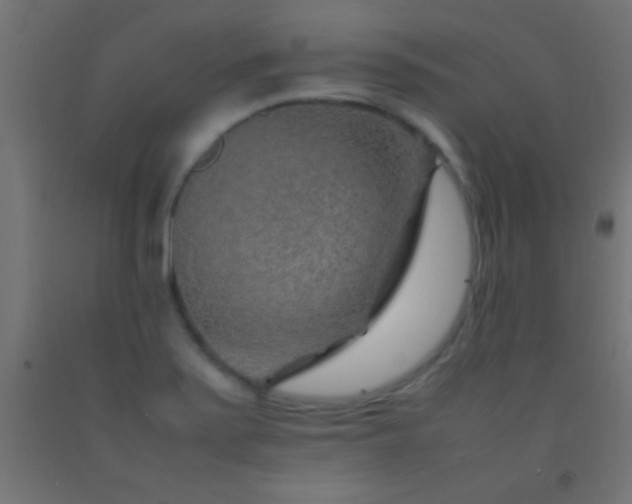 X0000092281371200709281237