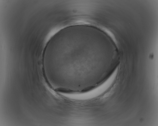 X0000092281373200709281237