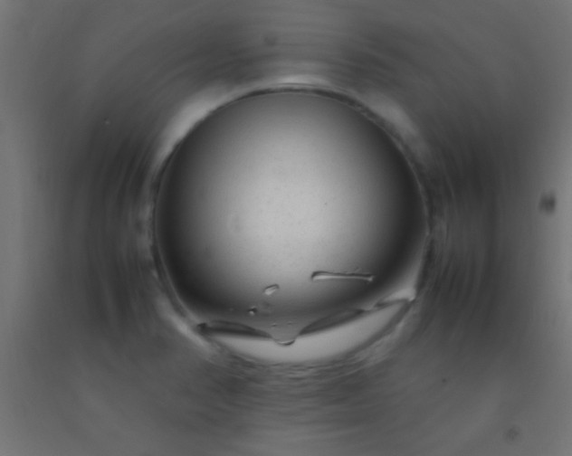 X0000092281374200709281237