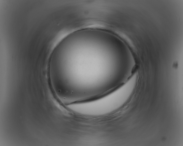 X0000092281375200709281237