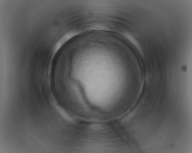 X0000092281378200709281237