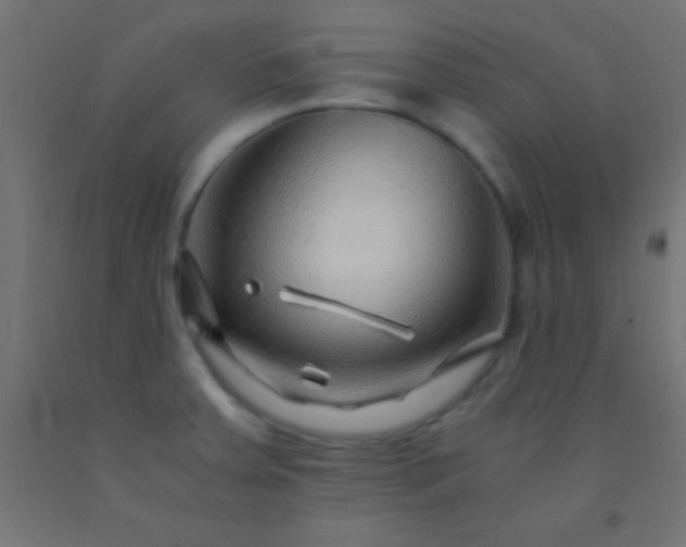 X0000092281379200709281236