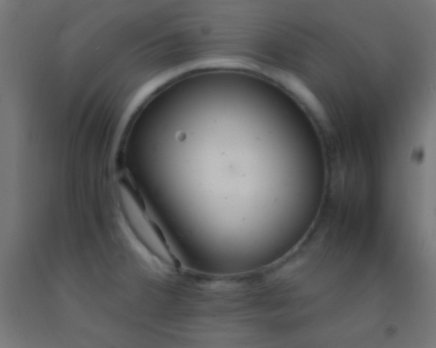 X0000092281380200709281236