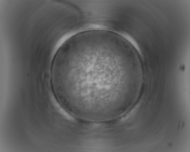 X0000092281381200709281236