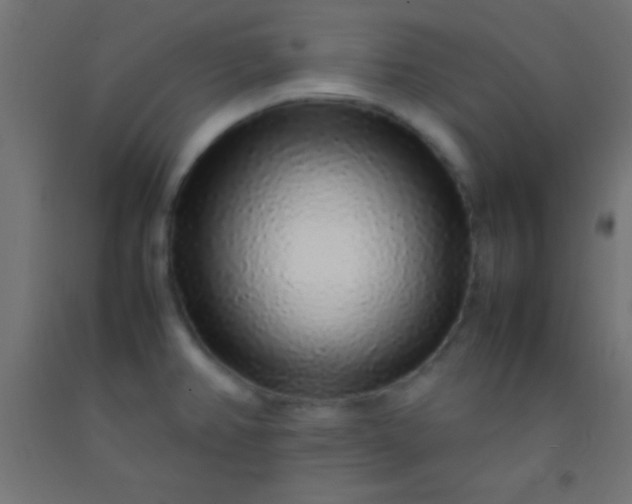 X0000092281382200709281236