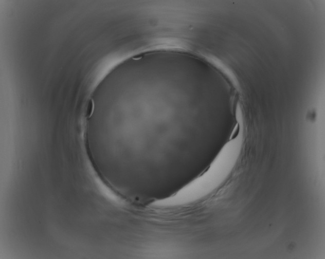 X0000092281383200709281236