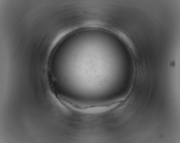 X0000092281384200709281236