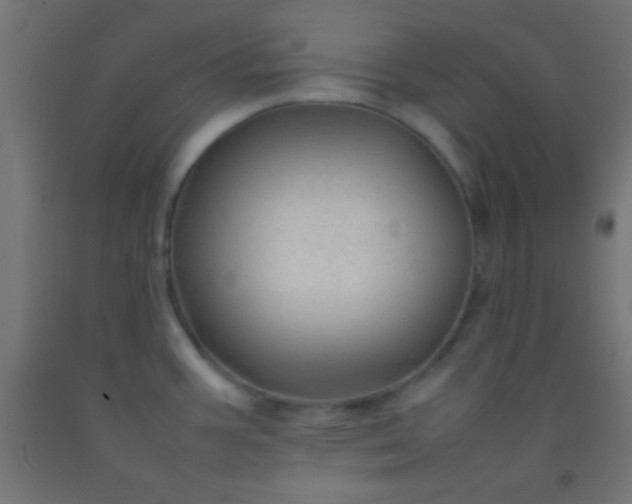 X0000092281387200709281236