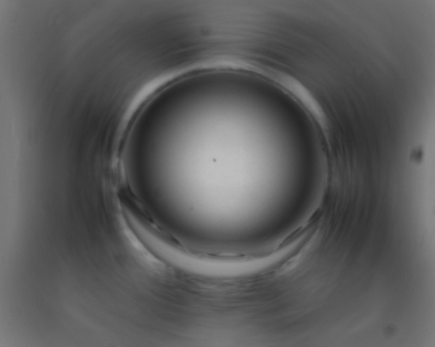 X0000092281388200709281236