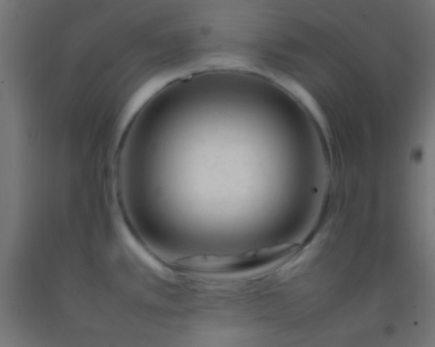 X0000092281389200709281236