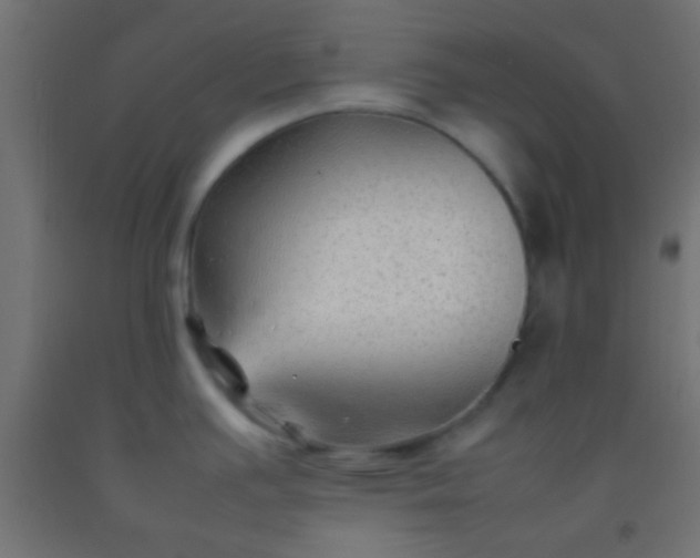 X0000092281391200709281236