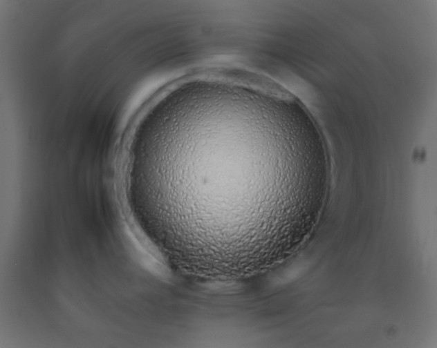 X0000092281392200709281236