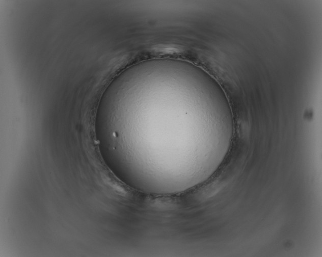 X0000092281393200709281235