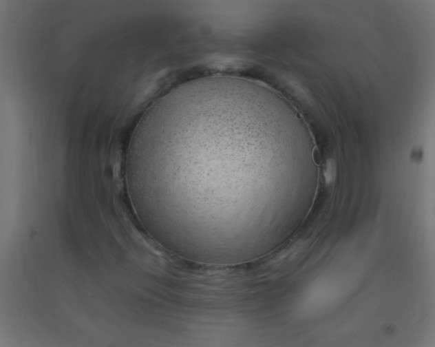 X0000092281396200709281236