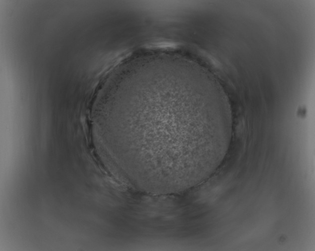 X0000092281397200709281236