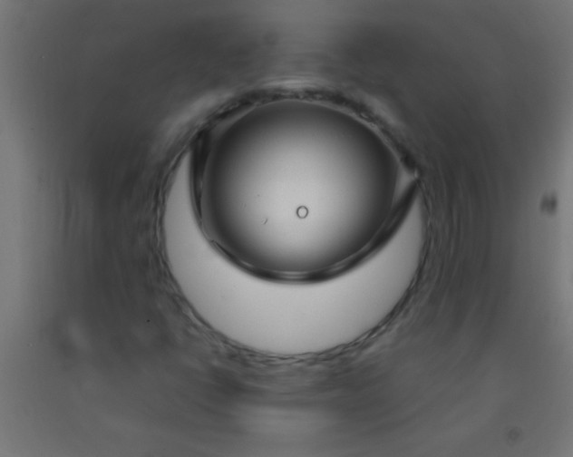 X0000092281398200709281236