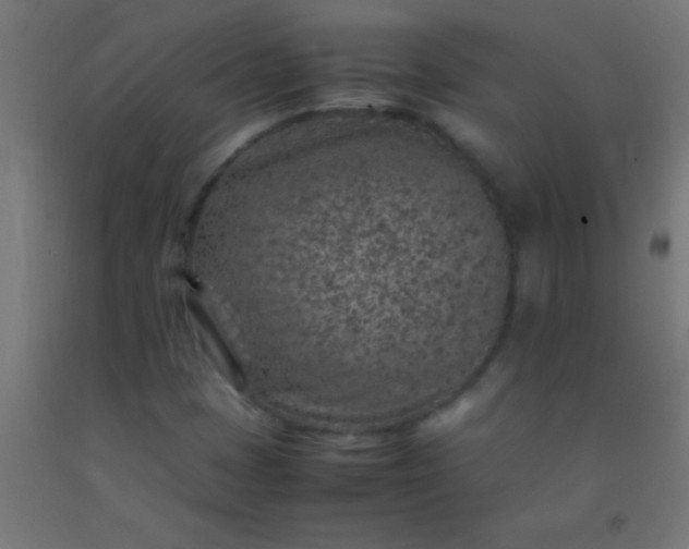 X0000092281401200709281236