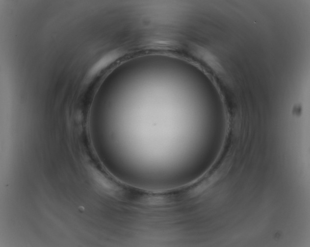 X0000092281402200709281236