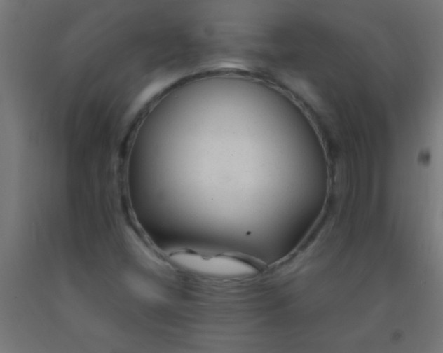 X0000092281404200709281236