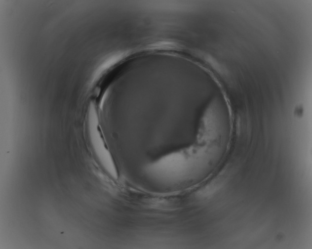 X0000092281405200709281236