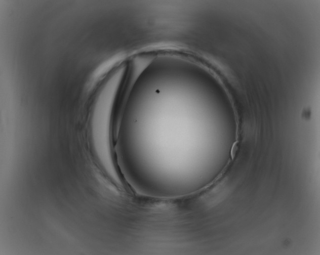 X0000092281406200709281236