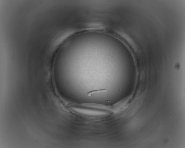 X0000092281407200709281236