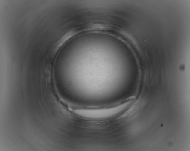 X0000092281409200709281236