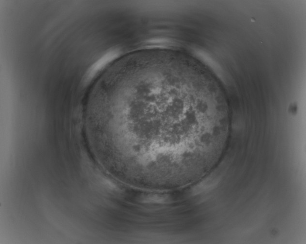 X0000092281411200709281236