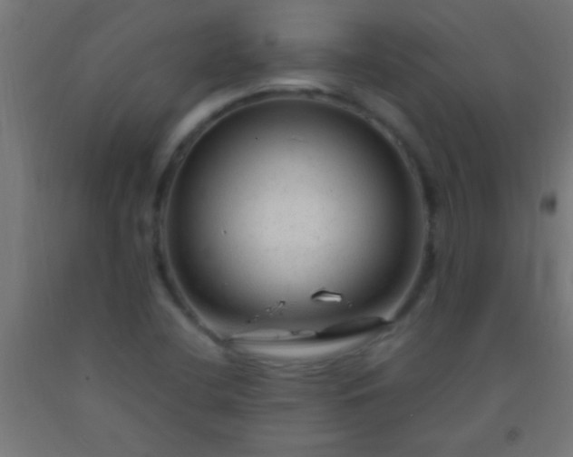 X0000092281412200709281236