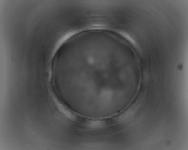 X0000092281413200709281236