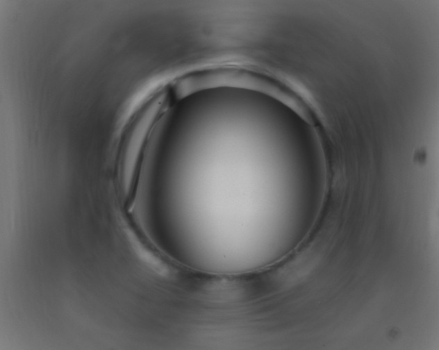 X0000092281414200709281236