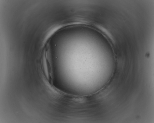 X0000092281415200709281236