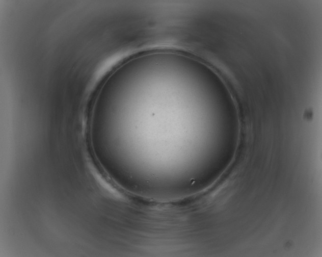 X0000092281416200709281236