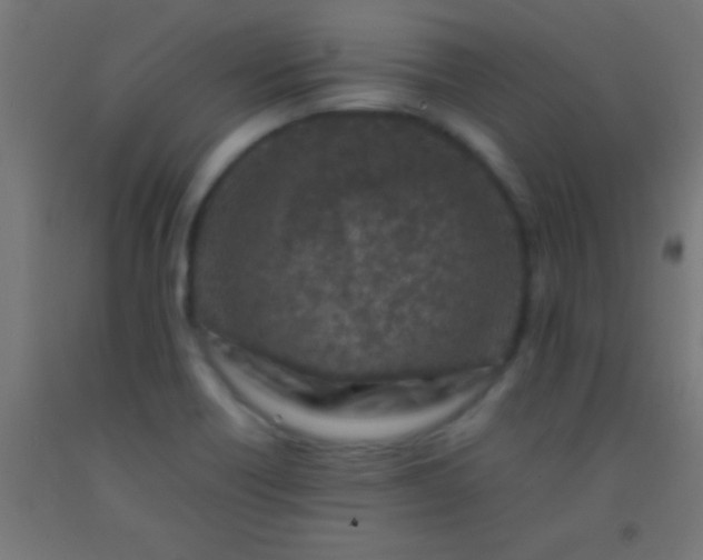 X0000092281418200709281236