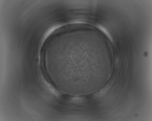 X0000092281419200709281236