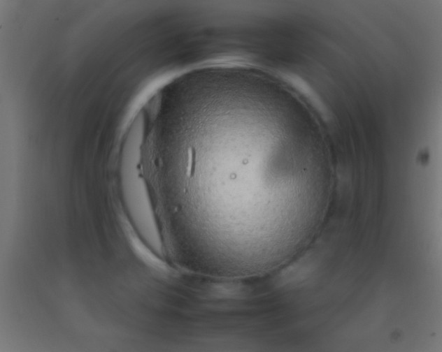 X0000092281421200709281236