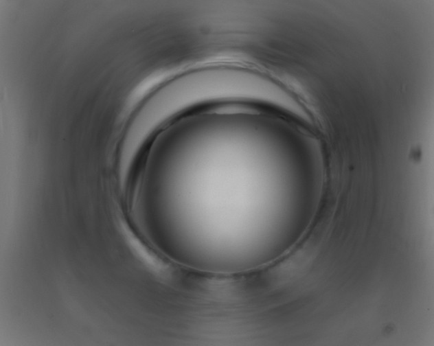 X0000092281422200709281236