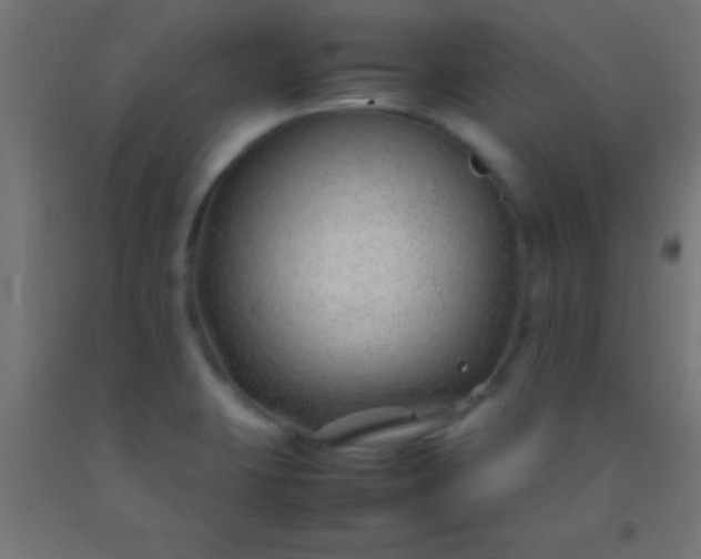 X0000092281423200709281236